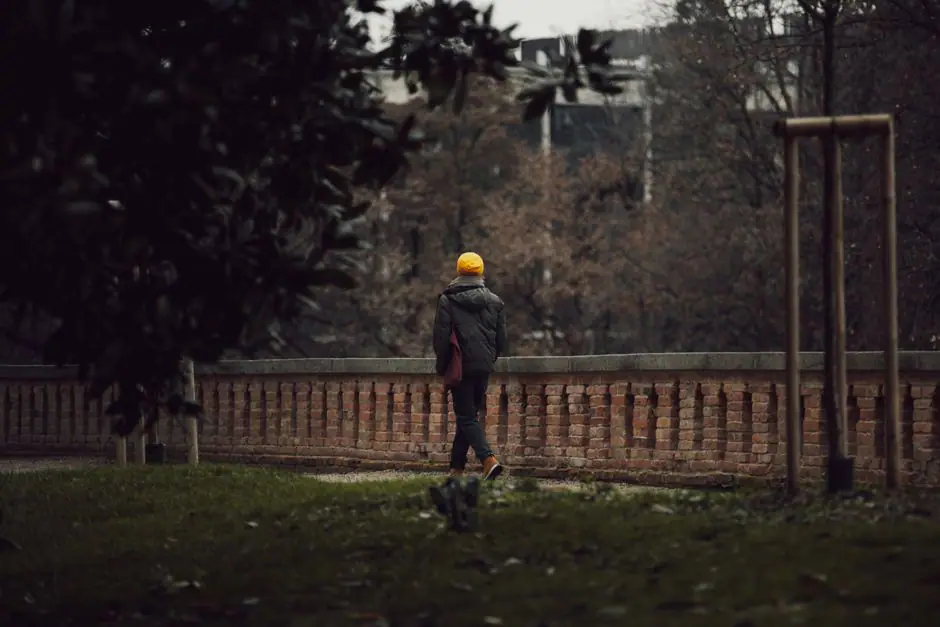 Онлайн-камера Tete Jaune Cache на VolveVision