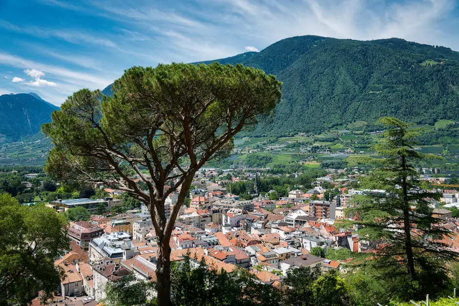 Feltre live camera view on VolveVision