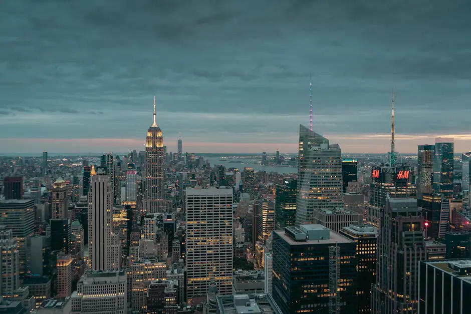 Vista en vivo de Lauder en VolveVision