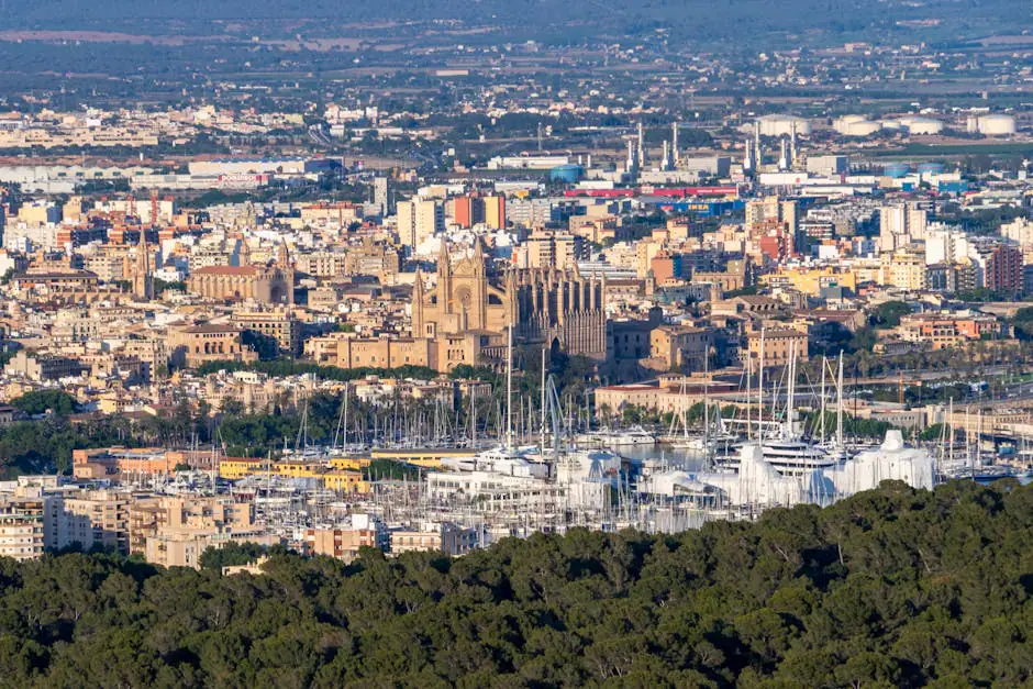 Vista en vivo de Sallent de Gállego en VolveVision