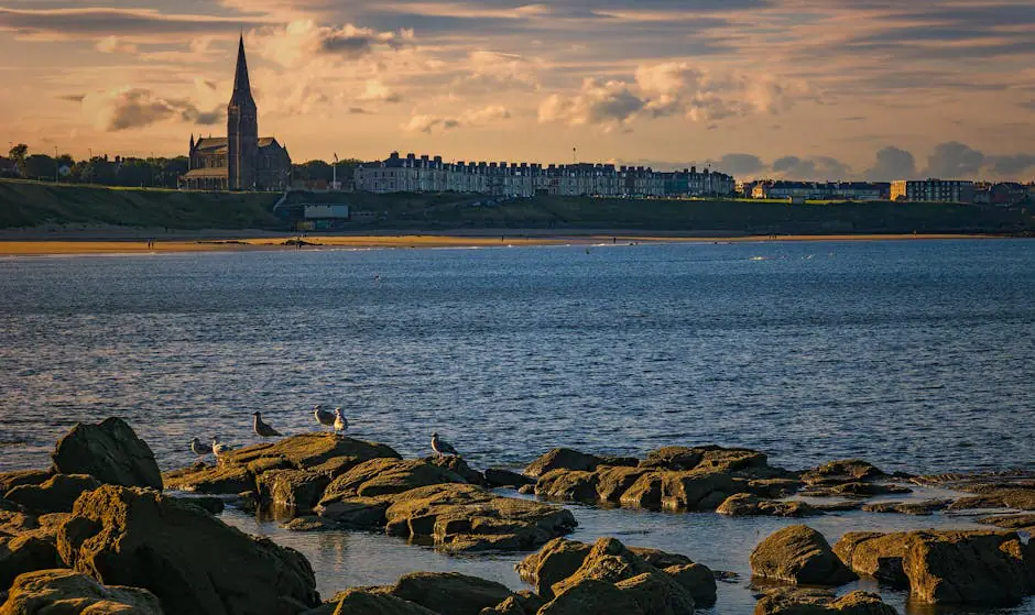 Newbiggin live camera view on VolveVision