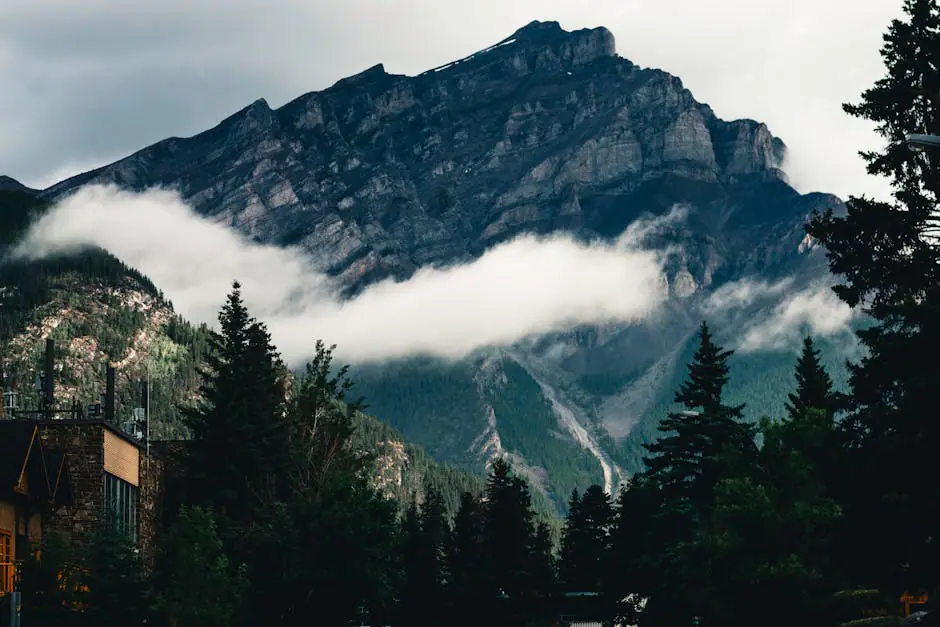 Jasper live camera view on VolveVision
