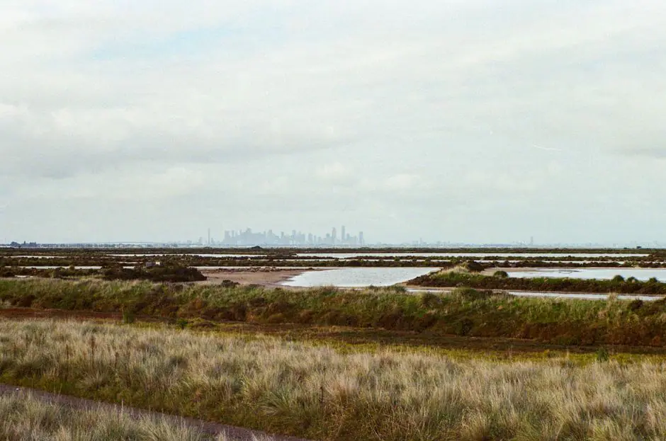 Vista en vivo de Jacks Point en VolveVision