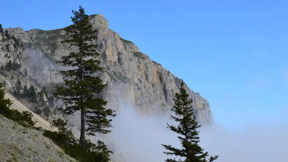 Correncon En Vercors live camera view on VolveVision