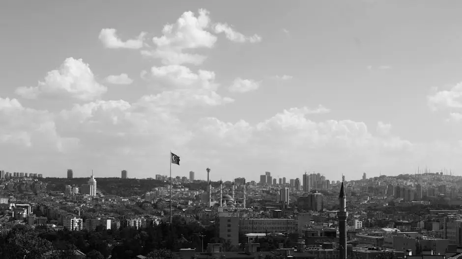 Bogoy live camera view on VolveVision