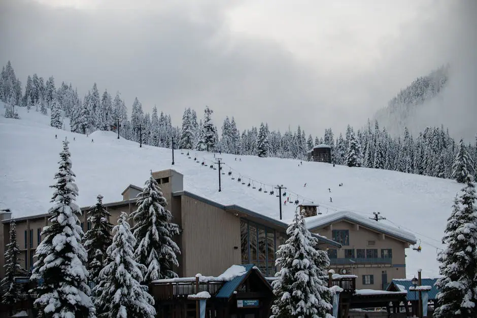 Silver Star Mountain Resort live camera view on VolveVision
