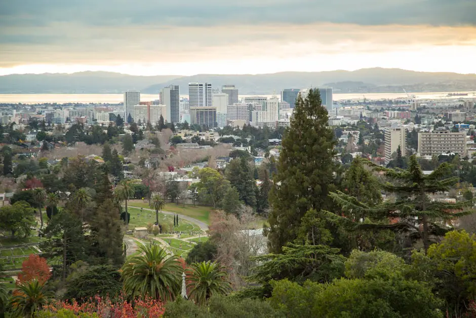 Oakland City live camera view on VolveVision