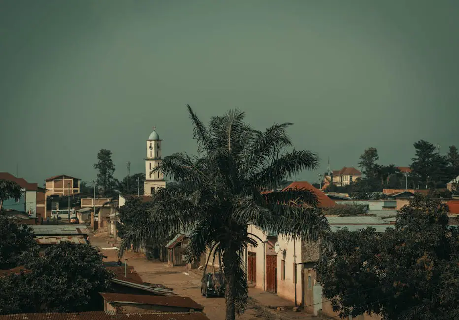Palmi live camera view on VolveVision