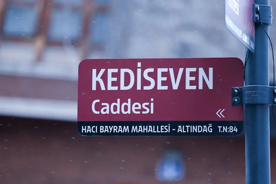 Camikebir Mahallesi live camera view on VolveVision