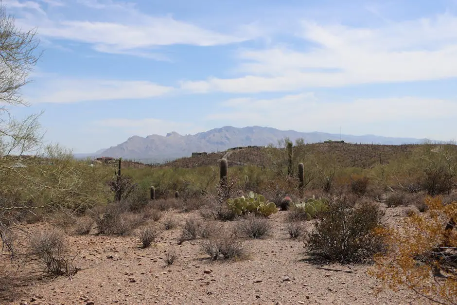 South Tucson live camera view on VolveVision