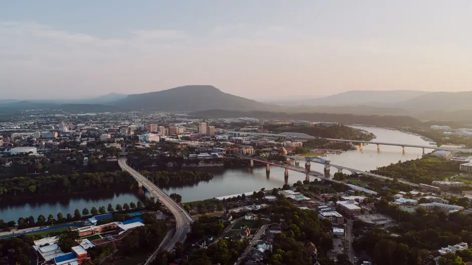 Logan live camera view on VolveVision