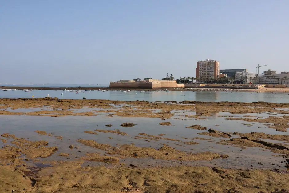 Vista en vivo de Tijarafe en VolveVision