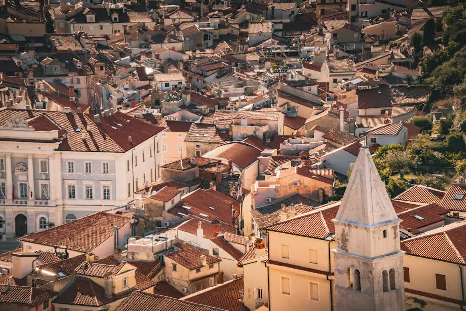 Martinscica live camera view on VolveVision