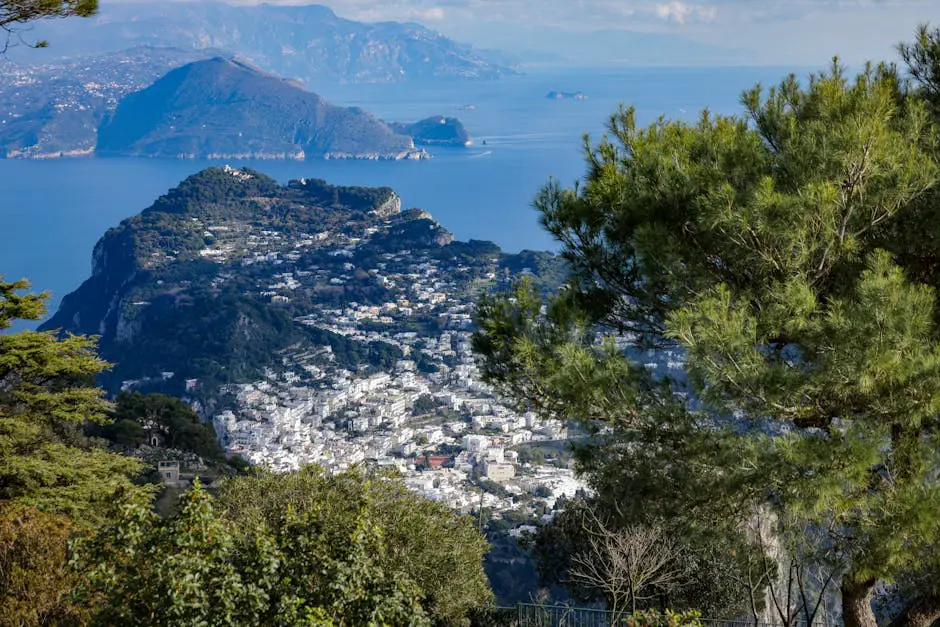 Capri live camera view on VolveVision