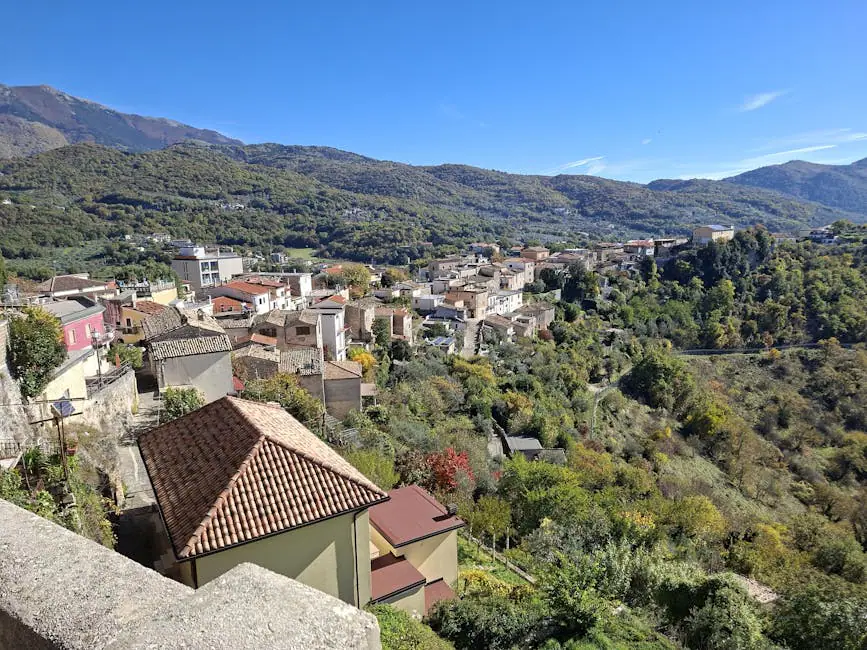 Vista en vivo de Triora en VolveVision