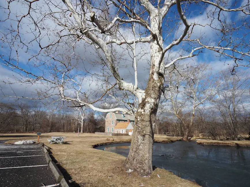 Colonial Park live camera view on VolveVision
