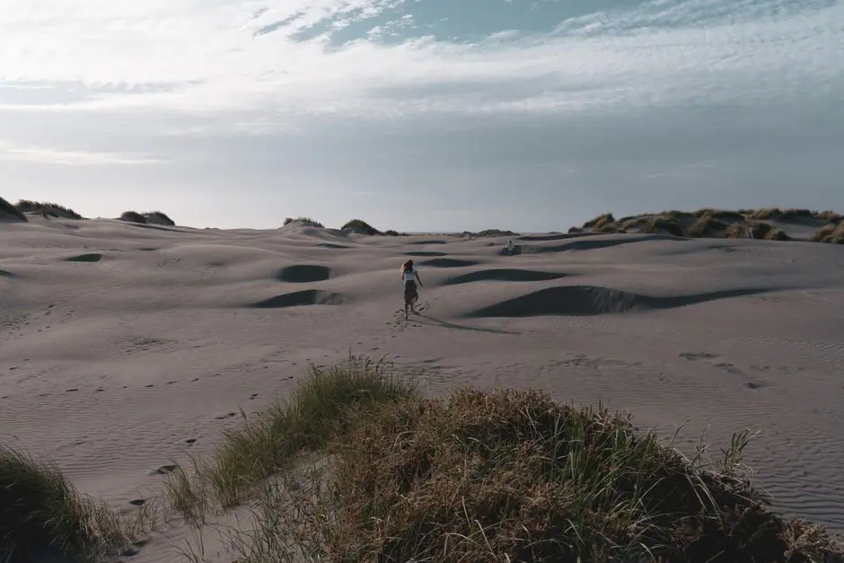 Vista en vivo de Foxton Beach en VolveVision