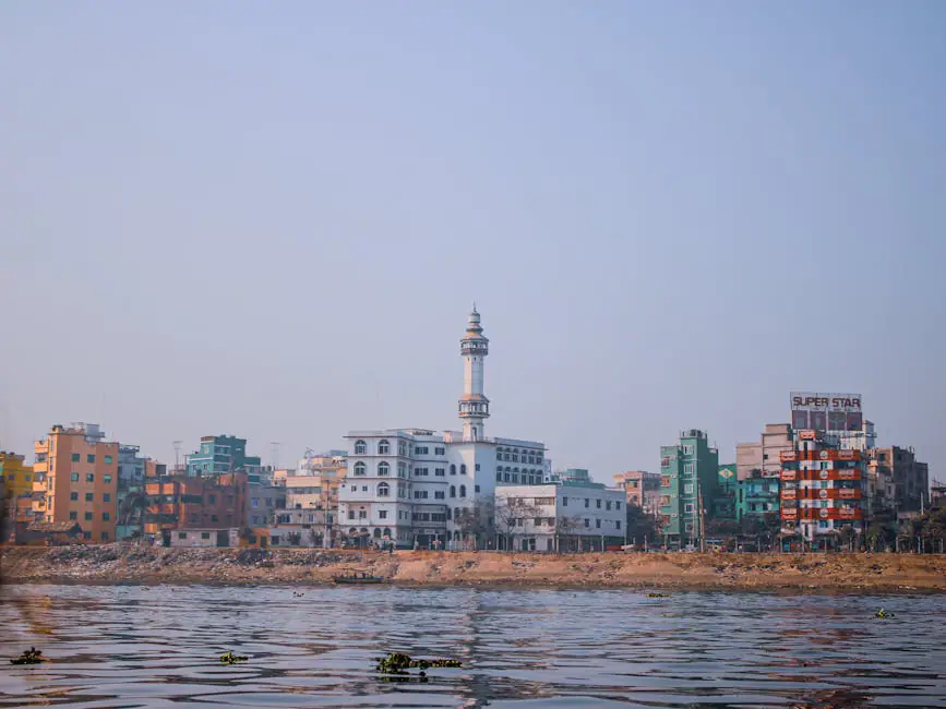 Tazha live camera view on VolveVision