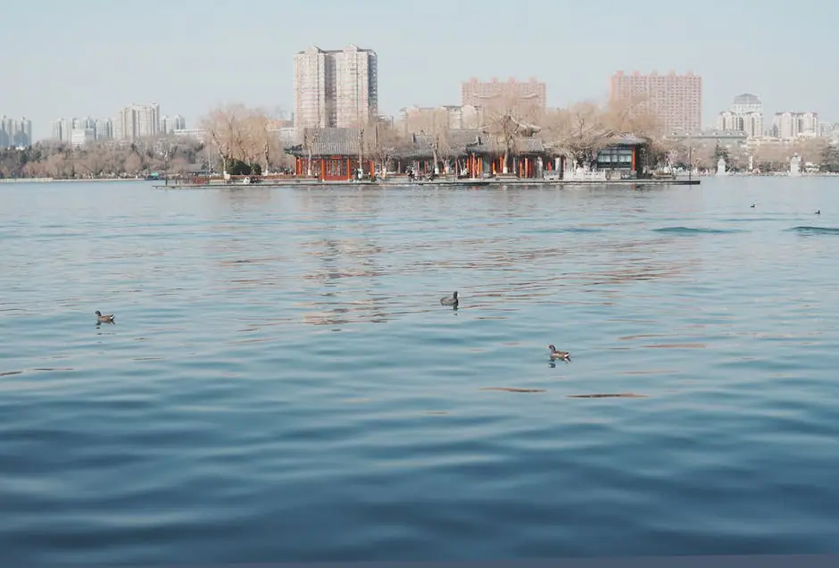 Island Park live camera view on VolveVision