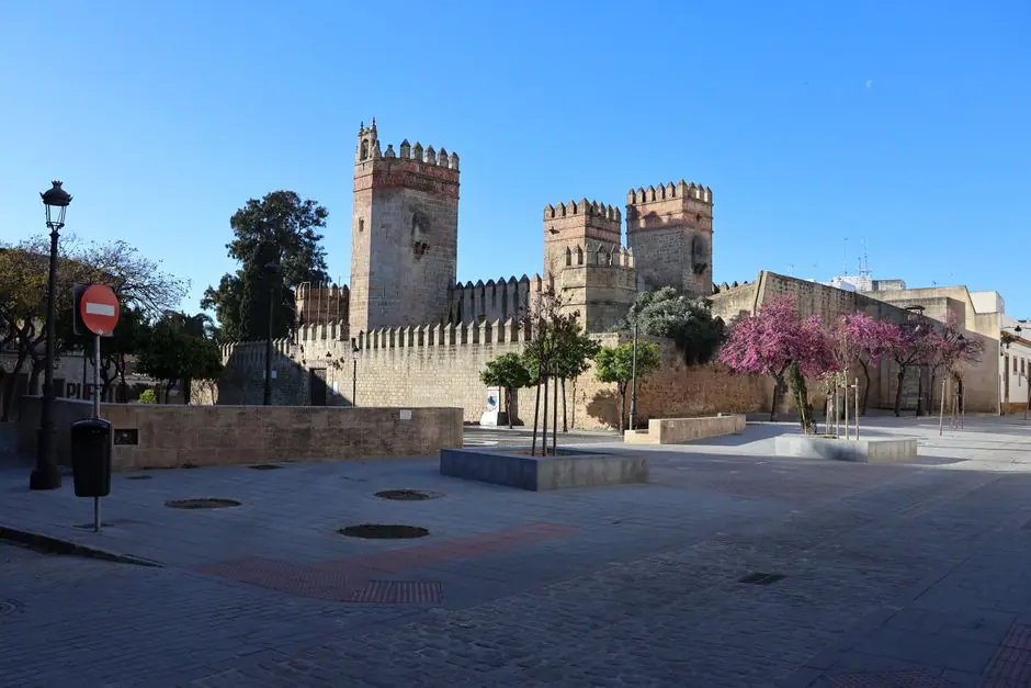 Alboraia live camera view on VolveVision