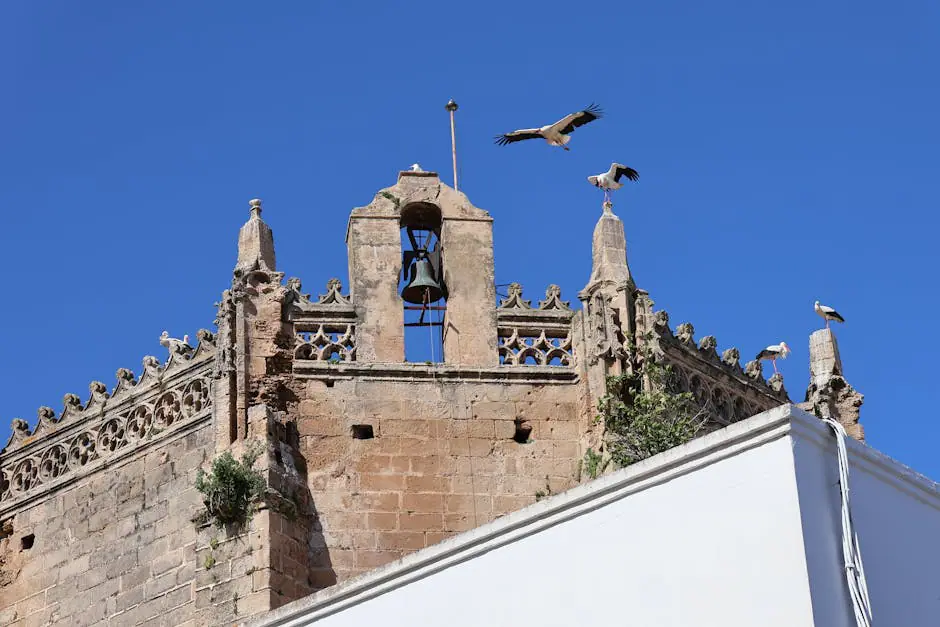 el Puig de Santa Maria live camera view on VolveVision