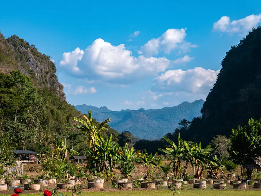 Vista en vivo de ป่าแดด en VolveVision