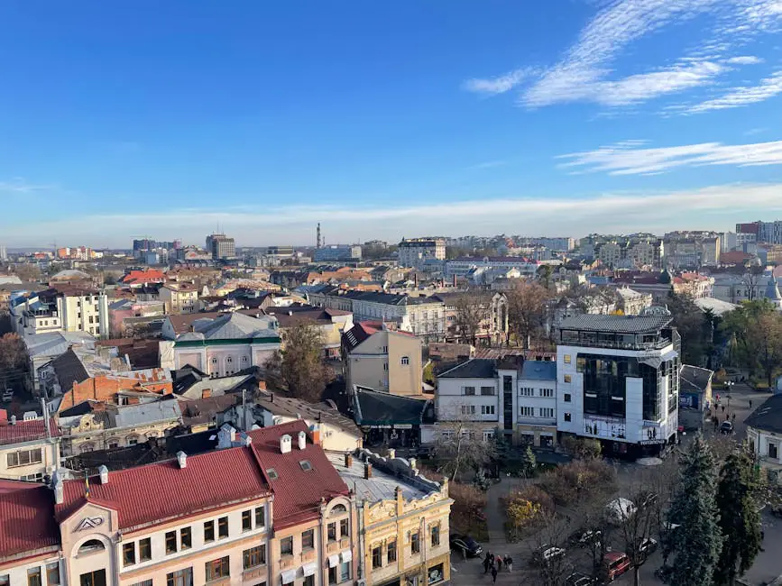 Mura live camera view on VolveVision