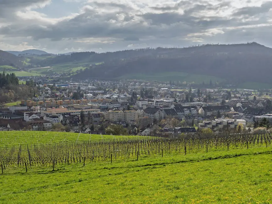 Vista en vivo de Niedererbach en VolveVision