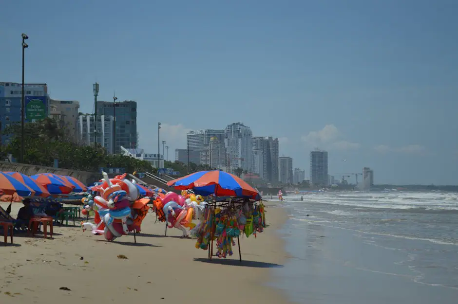 Sandy live camera view on VolveVision