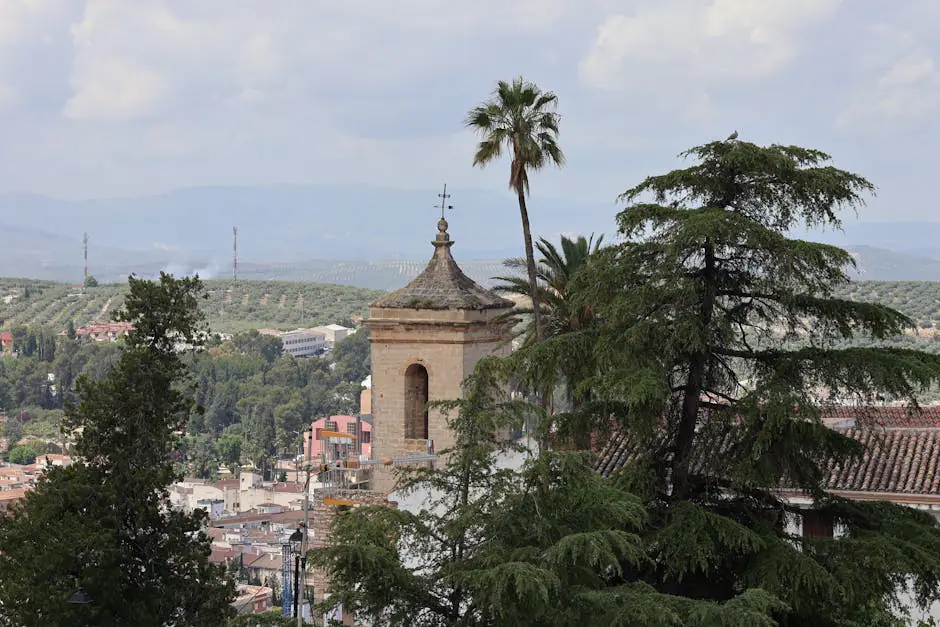 Cecina live camera view on VolveVision
