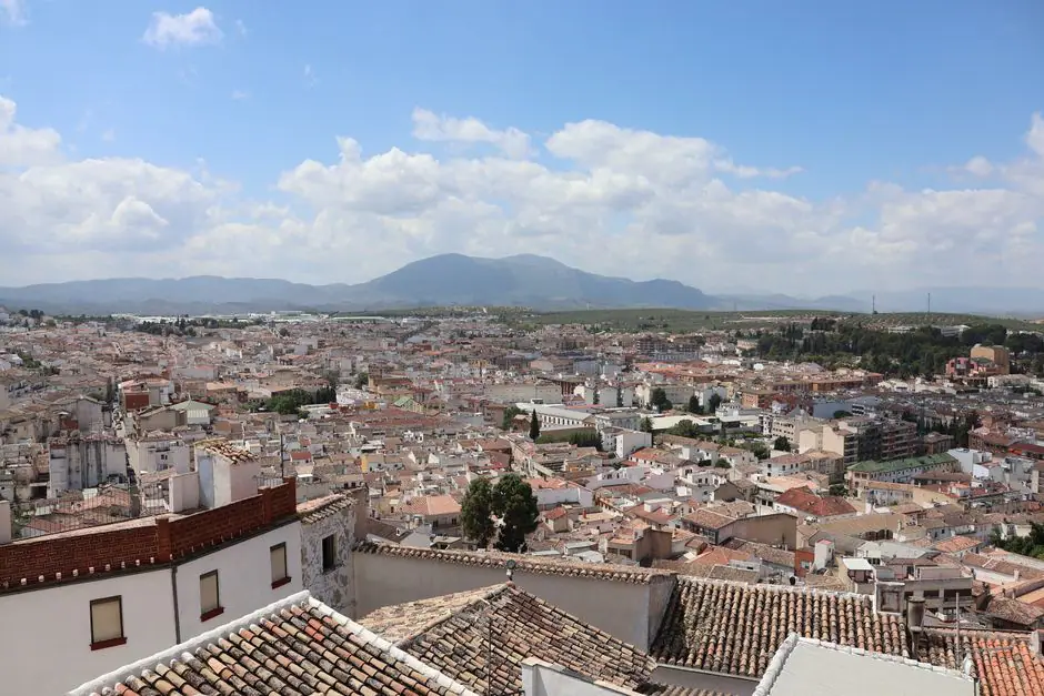 Vista en vivo de Granas en VolveVision