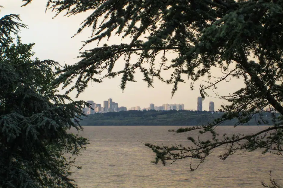 Wollaston Lake live camera view on VolveVision