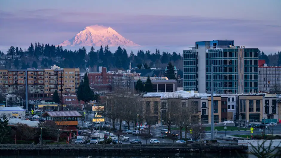 Lacey live camera view on VolveVision