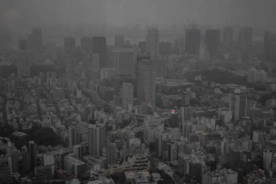 Vista en vivo de Minato Ku en VolveVision