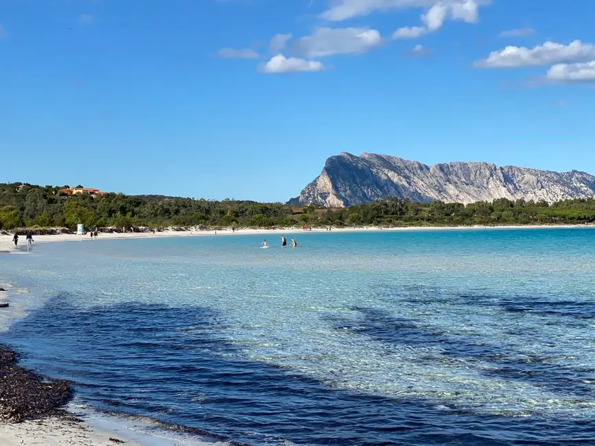 Vista en vivo de Santu Diadòru/San Teodoro en VolveVision