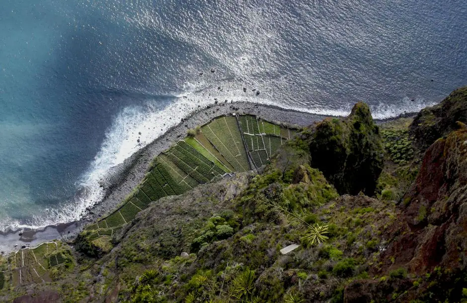 Vista en vivo de Camara De Lobos en VolveVision