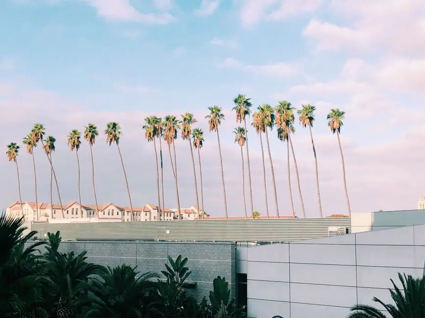 Palm Springs live camera view on VolveVision