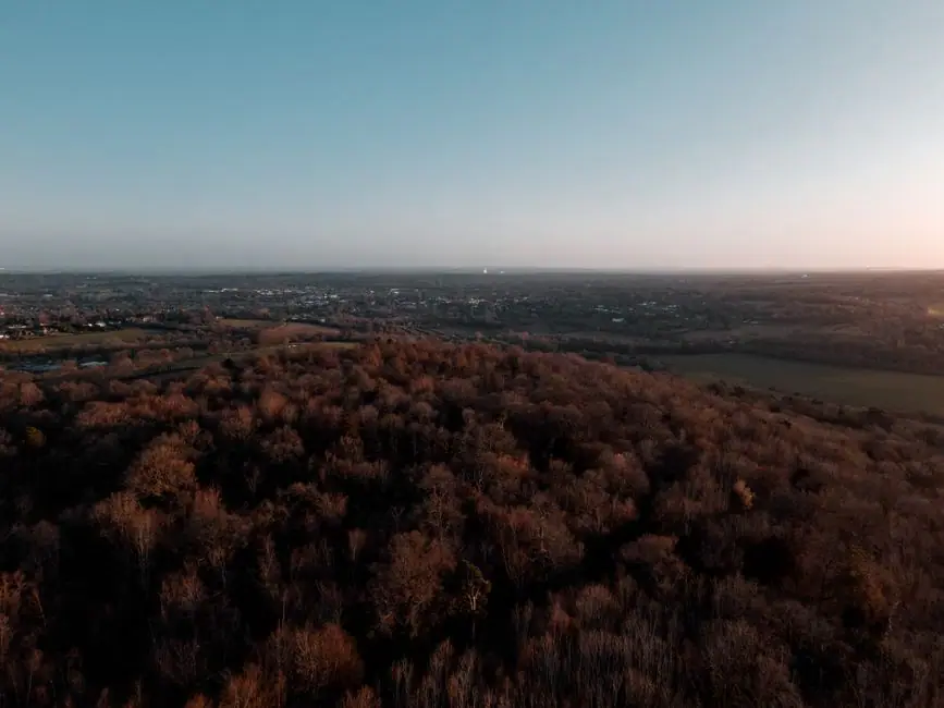 Vista en vivo de Epping Forest en VolveVision
