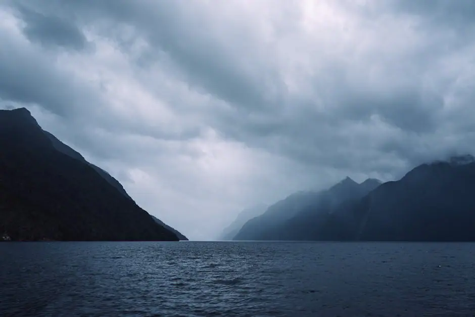 Vista en vivo de Fiordland Community en VolveVision