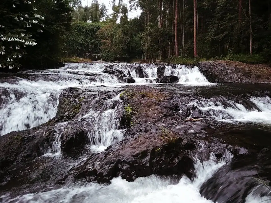Nyeri live camera view on VolveVision