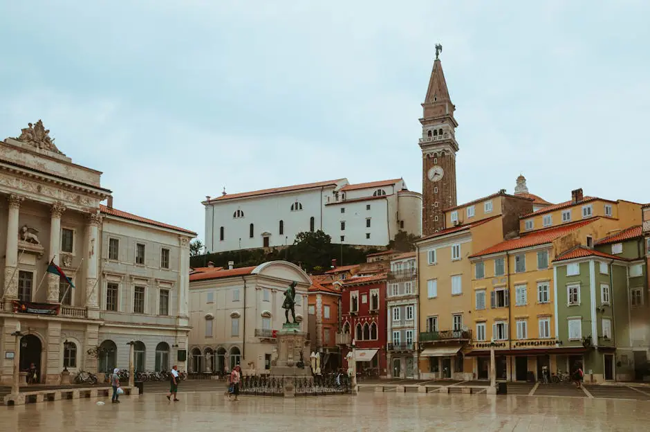 Piran live camera view on VolveVision