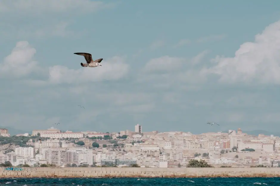 Cagliari Casteddu live camera view on VolveVision