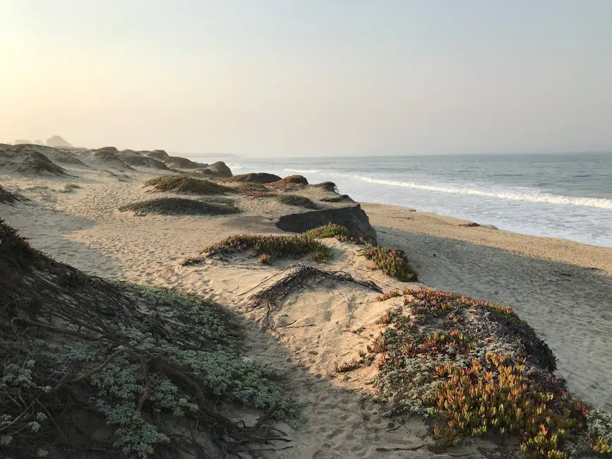 Half Moon Bay live camera view on VolveVision